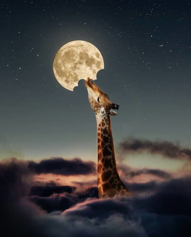 Luci_Coronel098's tweet photo. #KCAMexico #JuntosElCorazonNuncaSeEquivoca 
#KCAMexico #JuntosElCorazonNuncaSeEquivoca 
#KCAMexico #JuntosElCorazonNuncaSeEquivoca 
#KCAMexico #JuntosElCorazonNuncaSeEquivoca 
#KCAMexico #JuntosElCorazonNuncaSeEquivoca https://t.co/nFAr0nI0BR