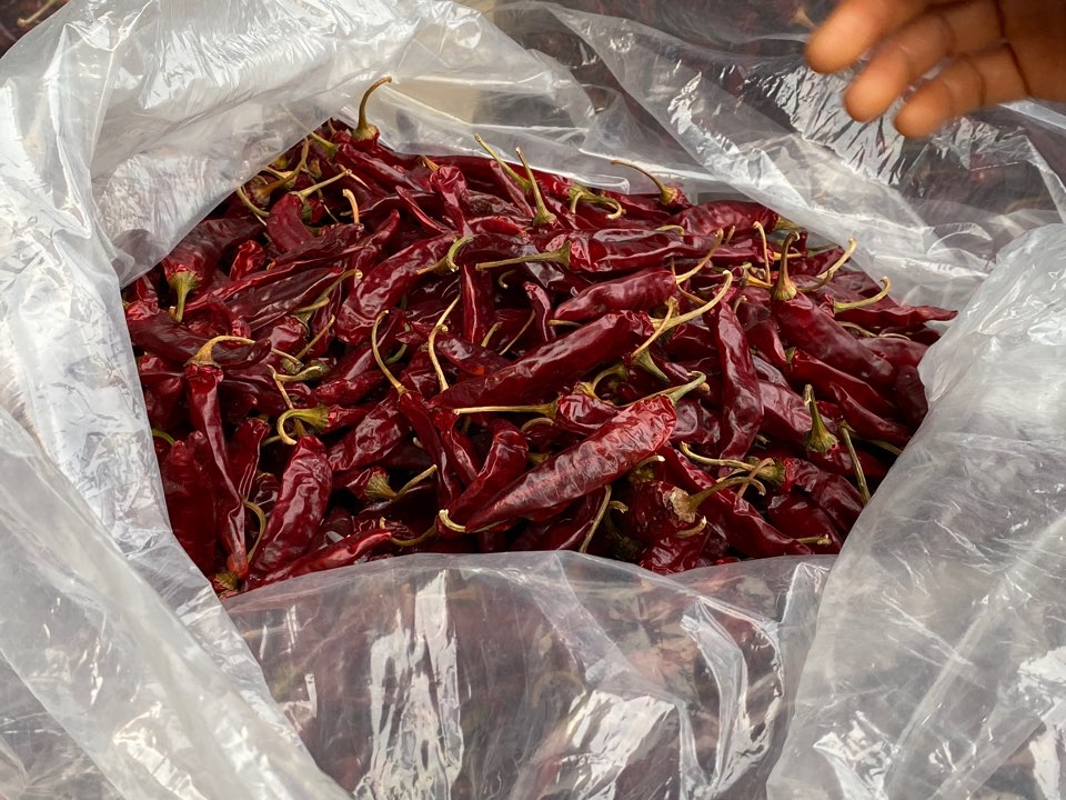 Topgochang's tweet photo. 태풍 바비로 피해는 없으신가요?

🌶건고추 장터🌶에서 믿을 수 있는
신선한 우리지역 농산물 애용해 보는 건
어떨까요?

일시 : 8월~9월 중 고창 5일 장날 새벽 6시~오전 11시
장소 : 고창군 농산물 유통센터 주차장

#고창 #고창농산물 #고창특산물 #건강한먹거리 #사회적거리두기 #태풍조심 https://t.co/vYffILM9Su