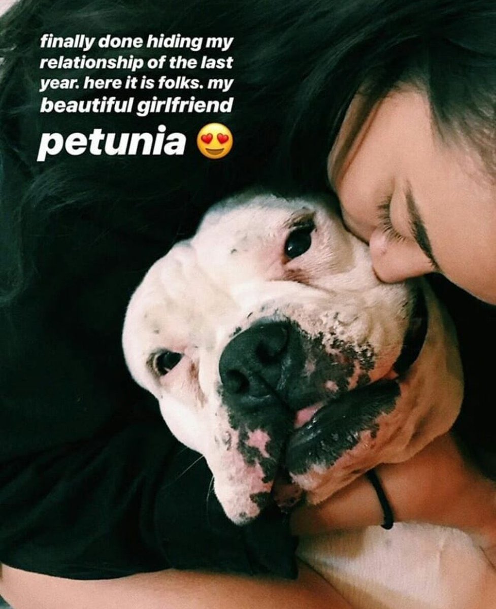 Since it’s international dog day here’s a thread of Petunia: