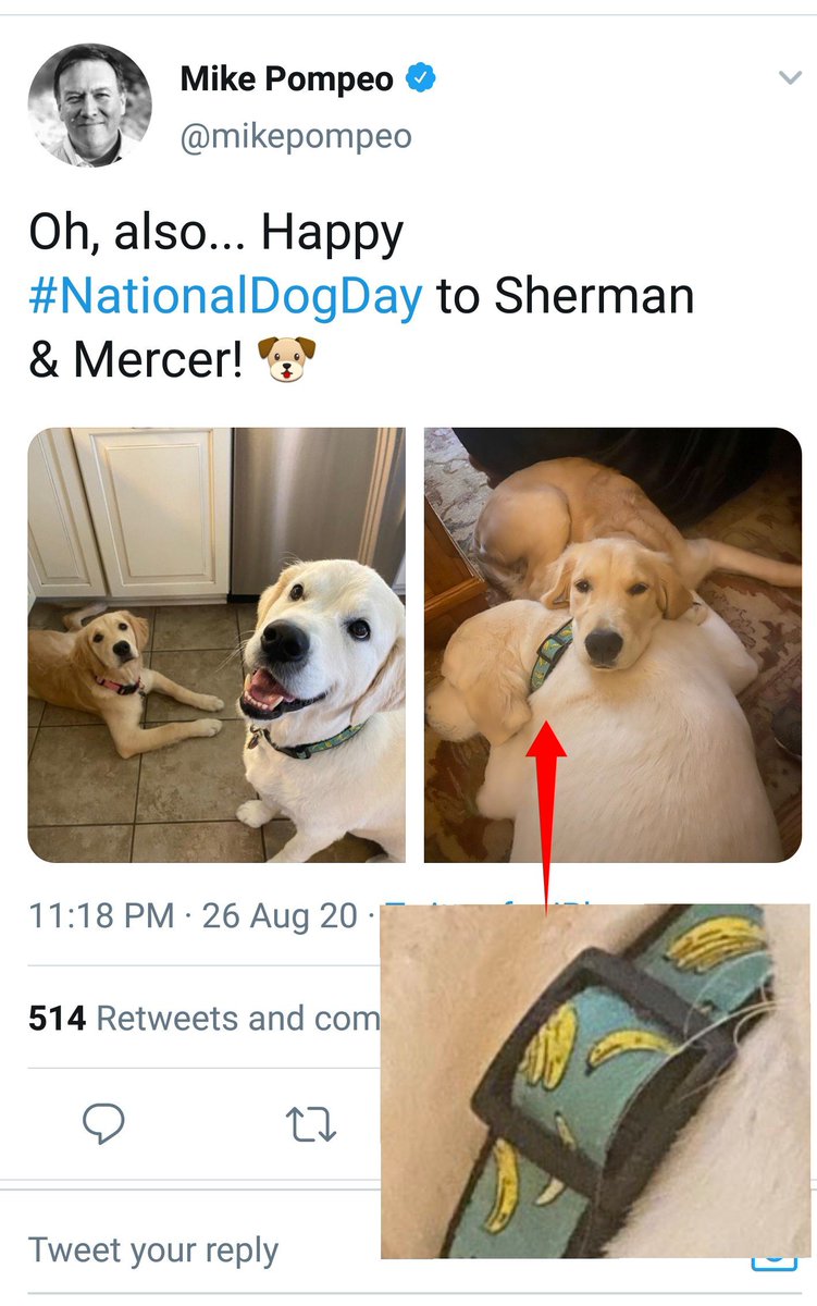Just realized D20 matches this thread. 420. Then  @mikepompeoHas bananas on his dog's collar, which is green. https://twitter.com/ready_pen/status/1298828170838396929?s=19