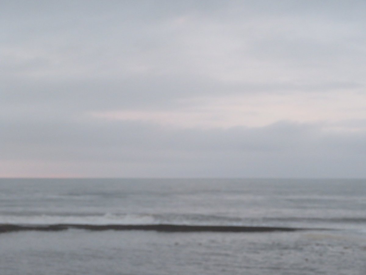 SeaWindowCraster tweet media