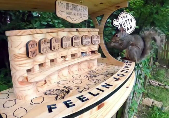 Construye un bar para las ardillas con 7 variedades de frutos secos
nopuedocreer.com/36852/construy…