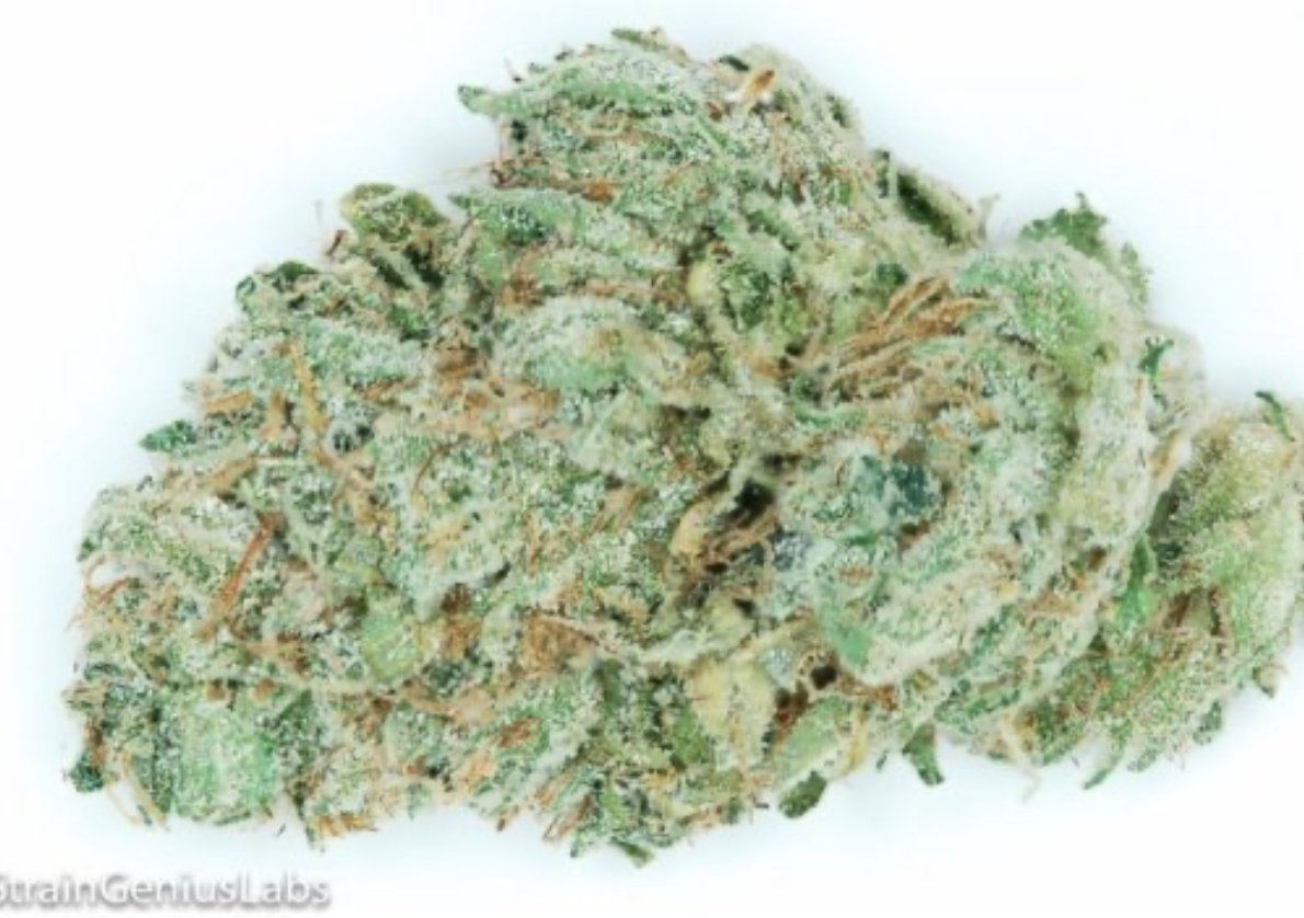 StrainGeniusLab's tweet image. Check out the DIAMOND OG we tested for Peace Leaf Collective THC: 19.84% CBD: 0.10% CBN: 0.06% #MMJ