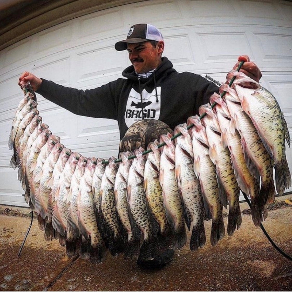 WFN's tweet photo. 30 slabs a day keeps the doctor away! - @takesomeonefishing 

#THISISFISHING #fishing #crappie #crappiefishing #slabs #slabsfordays https://t.co/9LjmcEbVlj