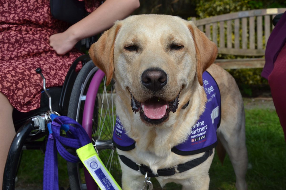 canine_partners's tweet photo. It’s the final day of Dogstival! Don’t forget to come and say hello to the team and join in our fun apple bobbing game with your dogs. 💜 🐾

Find out more here: https://t.co/UNCJHKiT8h 
#AmazingDogs #TransformingLives #CaninePartners #Dogstival https://t.co/DGkWm161rj