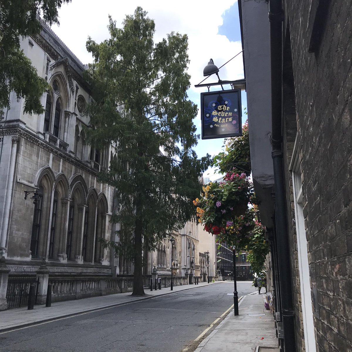 One of the Great Trees of London - the Dawn Redwood trees on Carey Street opposite one of the Great Pubs of London - the Seven Stars #GreatTrees #SevenStars