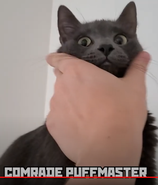 GuitargasmMusic's tweet photo. Just saw latest video from @life_of_boris and scored this awesome screenshot :P
Haha look at Artyom's face!! https://t.co/SOHfH1x2lb