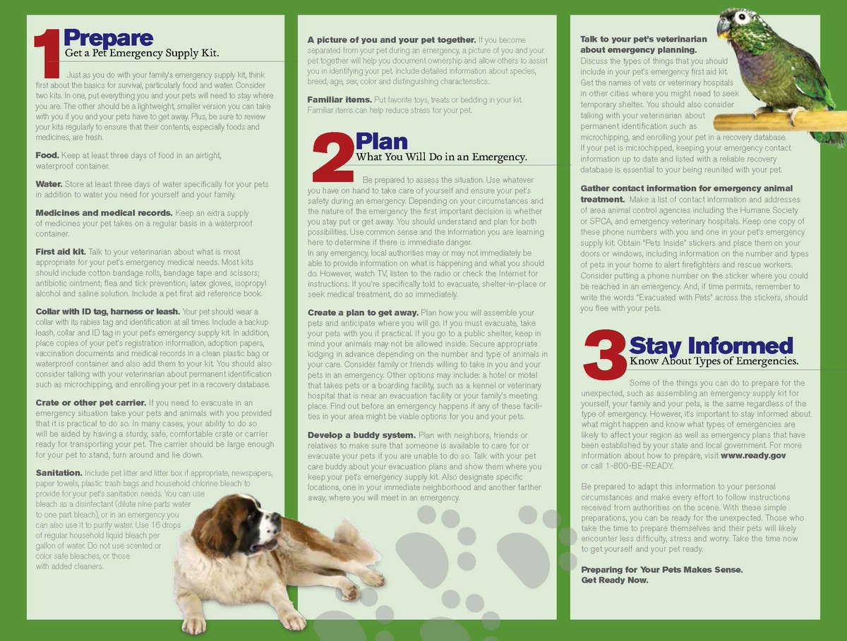AR_Emergencies's tweet photo. It's #NationalPrep month &amp; your pets need to be prepared too! Check out these fact sheets for some ways to make sure EVERYONE in your household is ready for disaster! Share your tips in the comments!

#BePrepared #ArPrepares #PetPreparedness #PreparednessPartners https://t.co/6NX8qNta5N