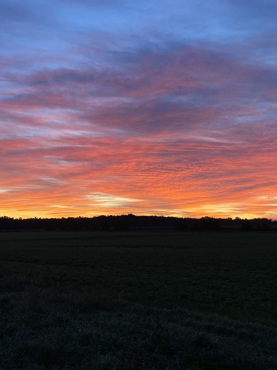BoersenRoger's tweet image. Not sure why the sunrises are so awesome as well. Another great day to farm. “ Out here in the fields!”
