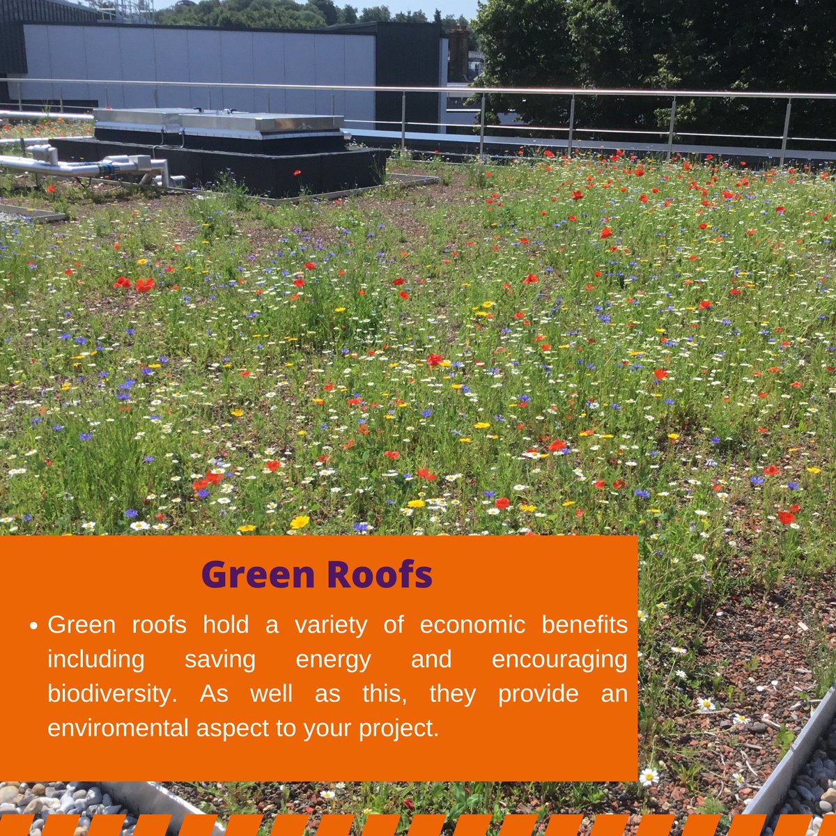 IndustrialCon12's tweet photo. At ICS we offer a variety of services, one being Green Roofs. Check out our website to find out more!

https://t.co/JIIBGVmK1c

#teamics #icsroofing #icsprojects #icsupdates
#icsdeliveringsolutions #industrialconstructionsussex
#enviromental #economical #greenroof https://t.co/MjrRj7qweq