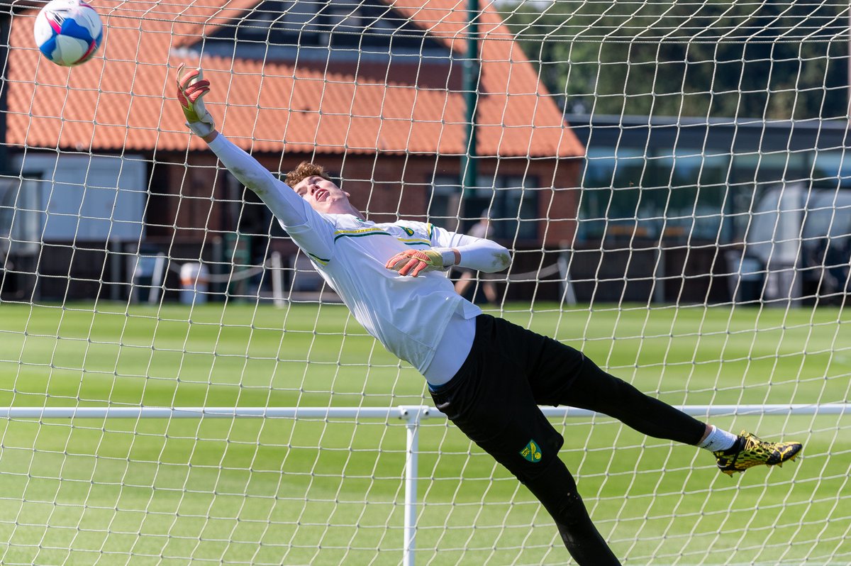 NorwichCityFC's tweet photo. Gloving up for Luton Town! 🧤 https://t.co/6l5qF4UTXe