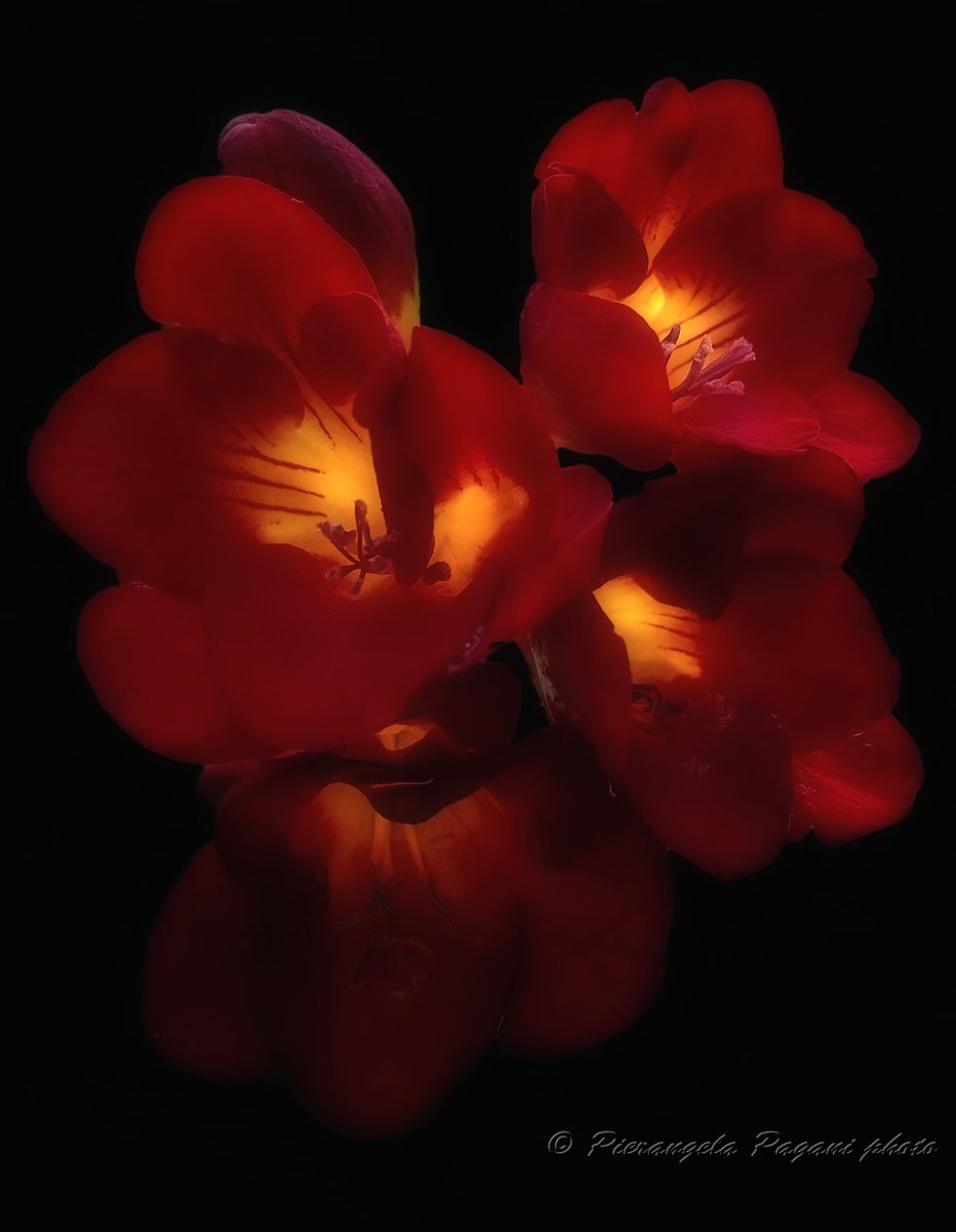 Paolettapaly Mi Spiace Sergio Non Conoscevo Condoglianze Alla Famiglia Un Abbraccio A Te Animo Sensibile A Domani T Co Fox2xi4bip