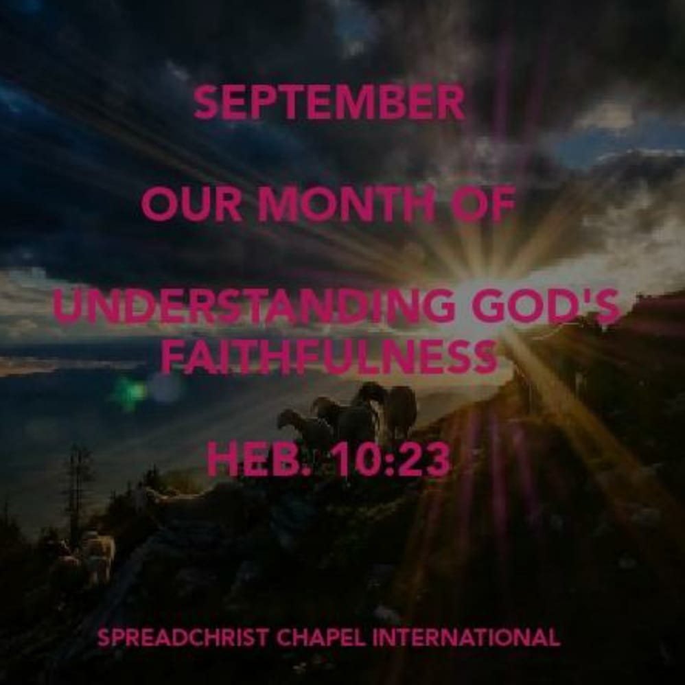 spreadchristch's tweet photo. A glorious new month https://t.co/tPNwnyc8WI