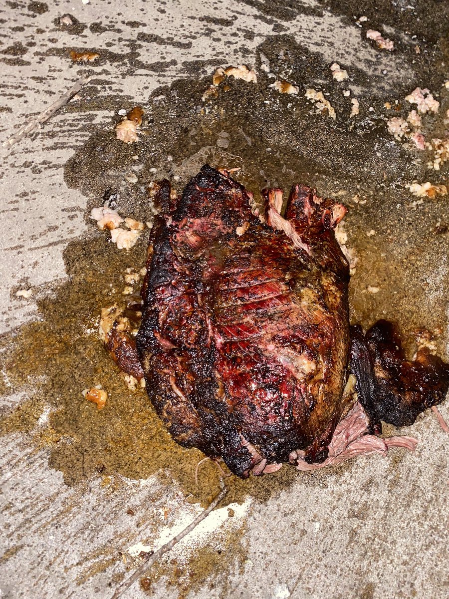 Nick Maestas tweet media