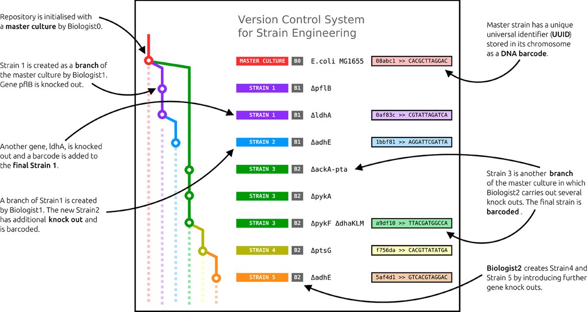 NKrasnogor's tweet image. Our last paper ( sciencedirect.com/science/articl… ) with @vdlorenzo_CNB and @MarkusSchmidt97 urges good #dataprovenance in #syntheticbiology via, e.g., barcoding, versioning of strains, etc. In our other joint paper we take steps in that direction: pubs.acs.org/doi/abs/10.102…