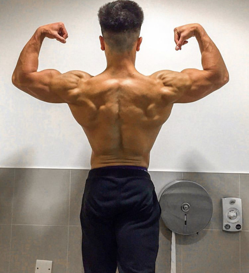 The Importance Of Back Training For ProfessionalsTHREAD
