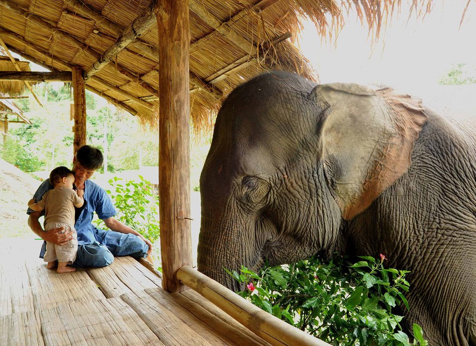 When I look into the eyes of an animal
I do not see an animal
I see a living being
I see a friend
I feel a soul.

Anthony Douglas Williams