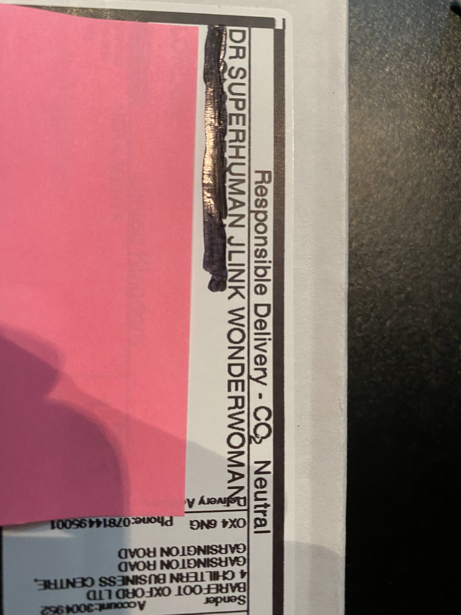 Jessie Link 🐊 tweet media