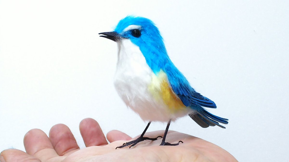 100以上 青い鳥 イラスト 綺麗