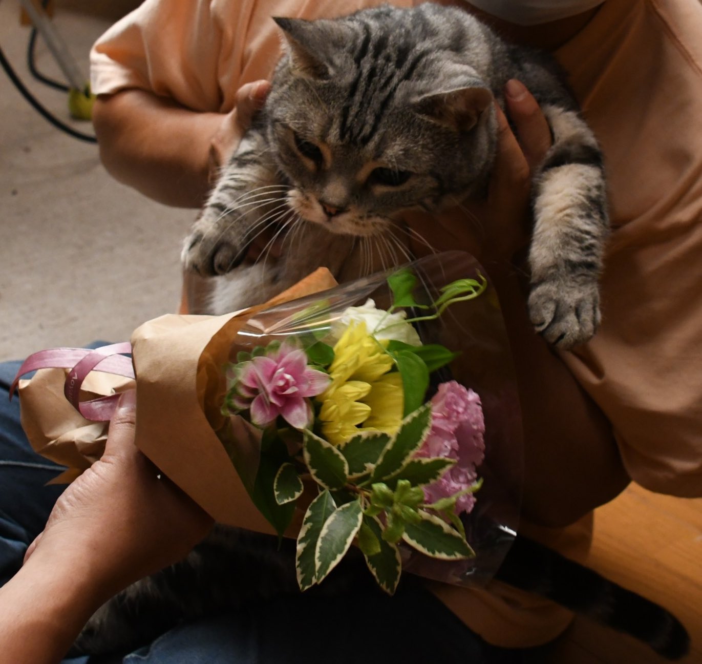 警視庁 捜査一課長 シーズン５ ４月８日木曜よる8時スタート 最後の ホシをあげる 写真はクランクアップの瞬間の私である 捜査一課長 最終回 公式猫 ビビ