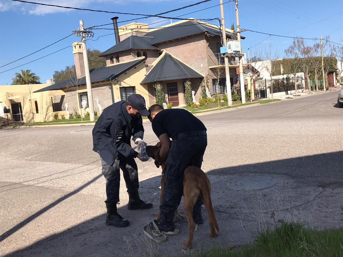 policiarionegro's tweet photo. ✅En un trabajo en conjuto policias de la #Comisaría11 Río Colorado, la #Unidad70 Colonia Julia y Echarren y la  #SecciónCanes Choele Choel, detuvieron a un hombre y recuperaron el dinero que había sido robado en una vivienda de la zona de chacras. 

➡️ https://t.co/4Lm47UN08u https://t.co/NbIJA65CNI