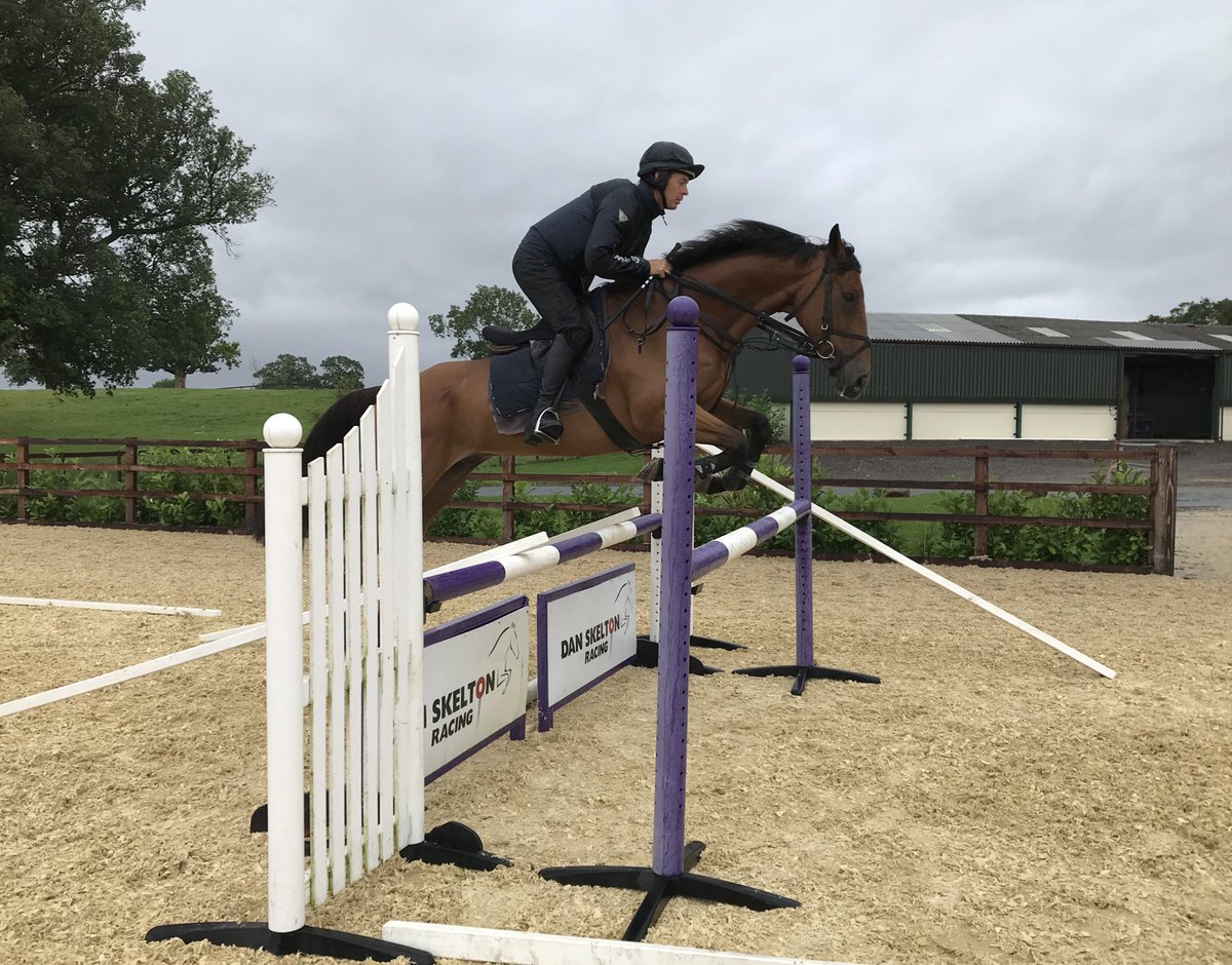 Oldgrangewood &amp; <a href="/77ChrisKing/">Chris King</a> working over the poles this morning. Most of our horses do some individual sessions with Chris in the school at some point during the season, and it benefits not only their technique but also their confidence. OGW particularly enjoys it! 🐰