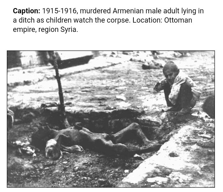 Fool!This is the fact on record that  #Turkey did a brutal genocide of  #armenians . It is the moral & ethical responsibility of  #Turkey to accept their bloody deeds & apologise for  #ArmenianGenocide . (1/15 )  @HSajwanization  @TIinExile  @UNArmenia  @Kamaksh30527763  https://twitter.com/RootDogan/status/1301231722609205253