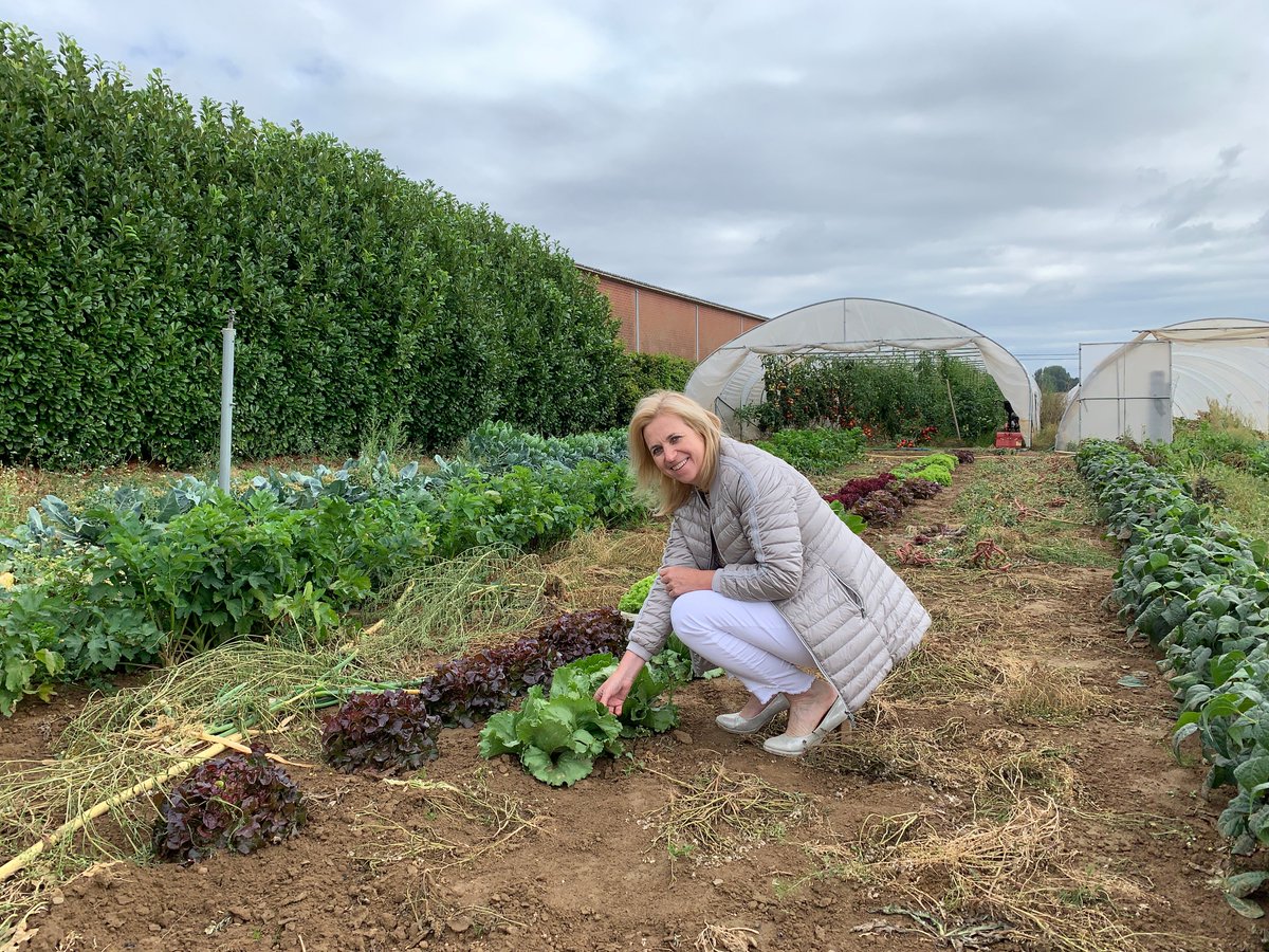 ingemoors's tweet photo. We kopen steeds vaker bij de lokale producent. Om hen te inspireren samen te werken en het aanbod in de hoevewinkel uit te breiden, organiseren we op donderdag 10 september het gratis toegankelijk webinar ‘groei door samenwerking’. 

Inschrijven via https://t.co/lN9EcK5nx4 https://t.co/RoeryJtPRa