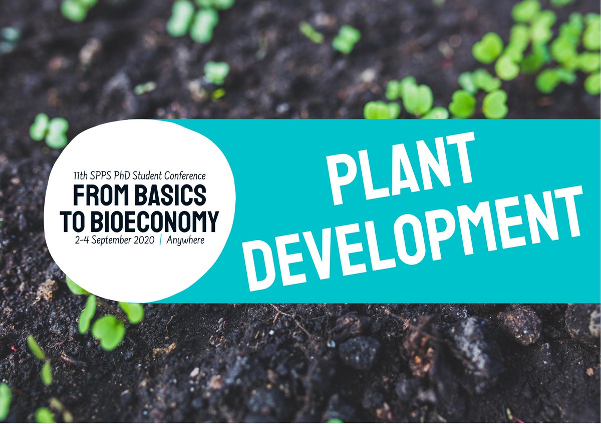 Plant development session is currently on and involves talks from Dr. Daniel Gibbs <a href="/DJ_Gibbs/">Dan Gibbs</a>, PhD students Laura Armbruster and Marie-Louise Fobian Thomsen, Dr. Jesús Pascual and Dr. Eduardo Mateo-Bonmati 🌱
