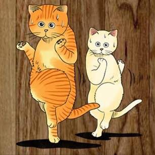 朗報 あまりに ジャカジャカジャンケン な猫が発見されるwwww えのげ 朗報 あまりに ジャカジャカジャンケン な猫が発見されるwwww えのげ