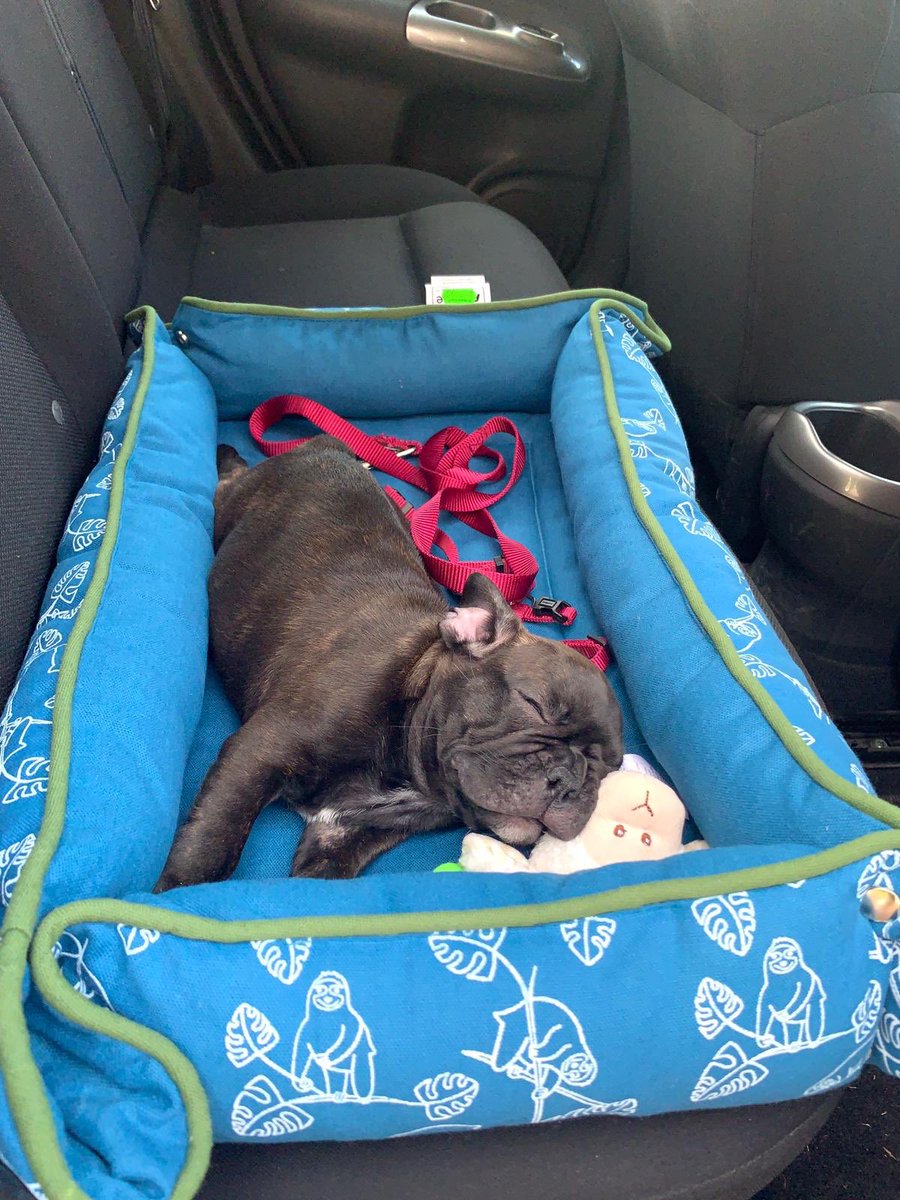 #PhotosOfMyLife 

7 Tage, 7 Fotos, keine Menschen, keine Erklärung. 

Danke @BIEG_Hessen 

Unsere erste Nominierung geht an @DrPatridge