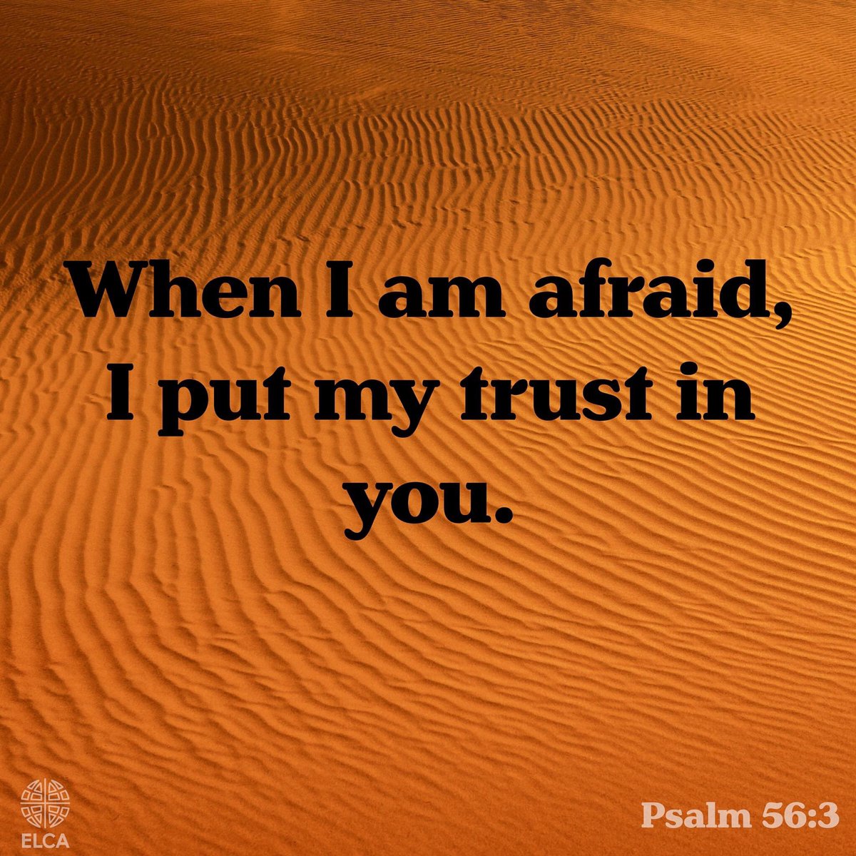 When I am afraid, I put my trust in you.
~Psalm 56:3