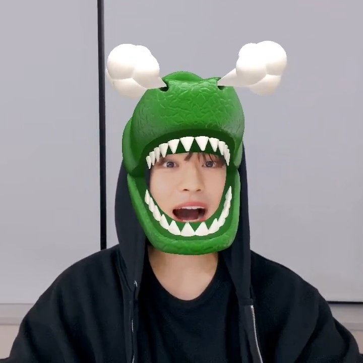 meet seungmin's best friends: avocado and alligator !!![end of thread]