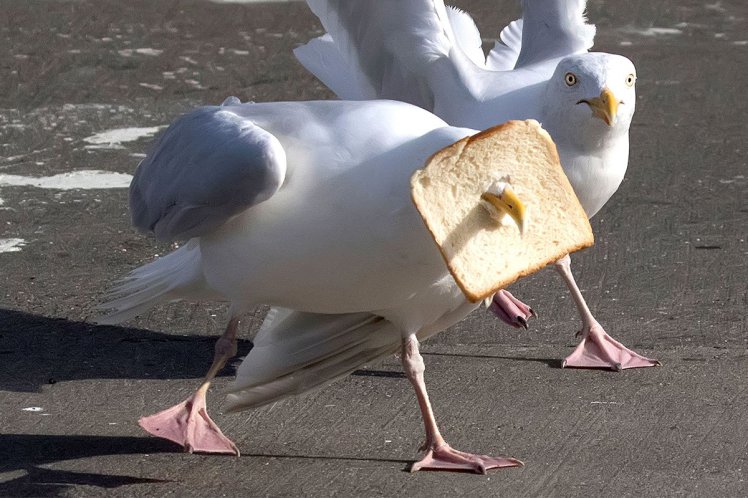 a finger too far tweet media