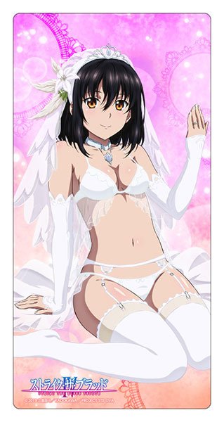 姫柊雪菜のtwitterイラスト検索結果