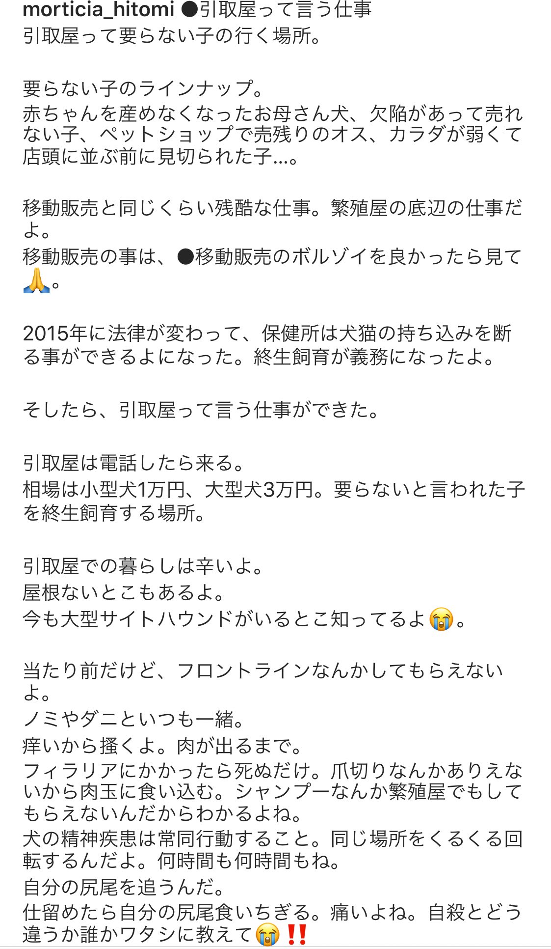 みんな生きてる Twitter Search Twitter