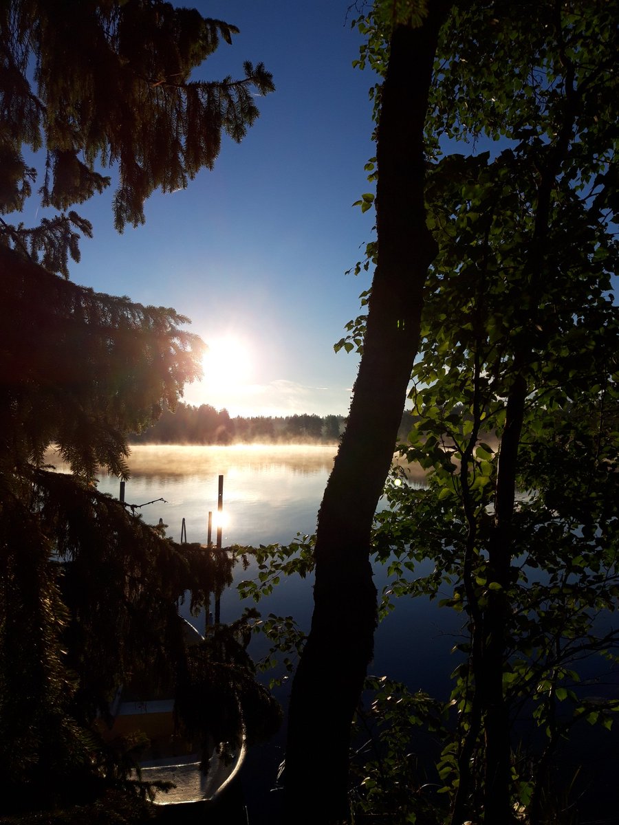 markkutaivainen's tweet photo. 💙 Pyhäisen aamun ja illan rauhaisia tunnelmia, oli heinäkuun 4:s sunnuntai 🙏 😍#Joutenolossa #kesä #heinäkuu #Suomenluonto #finishnature #finissummer #järviluonto #rauhaisuus #auringonnousu #auringonlasku #souturetki #kesämuistoja https://t.co/ZfosF4JAL7