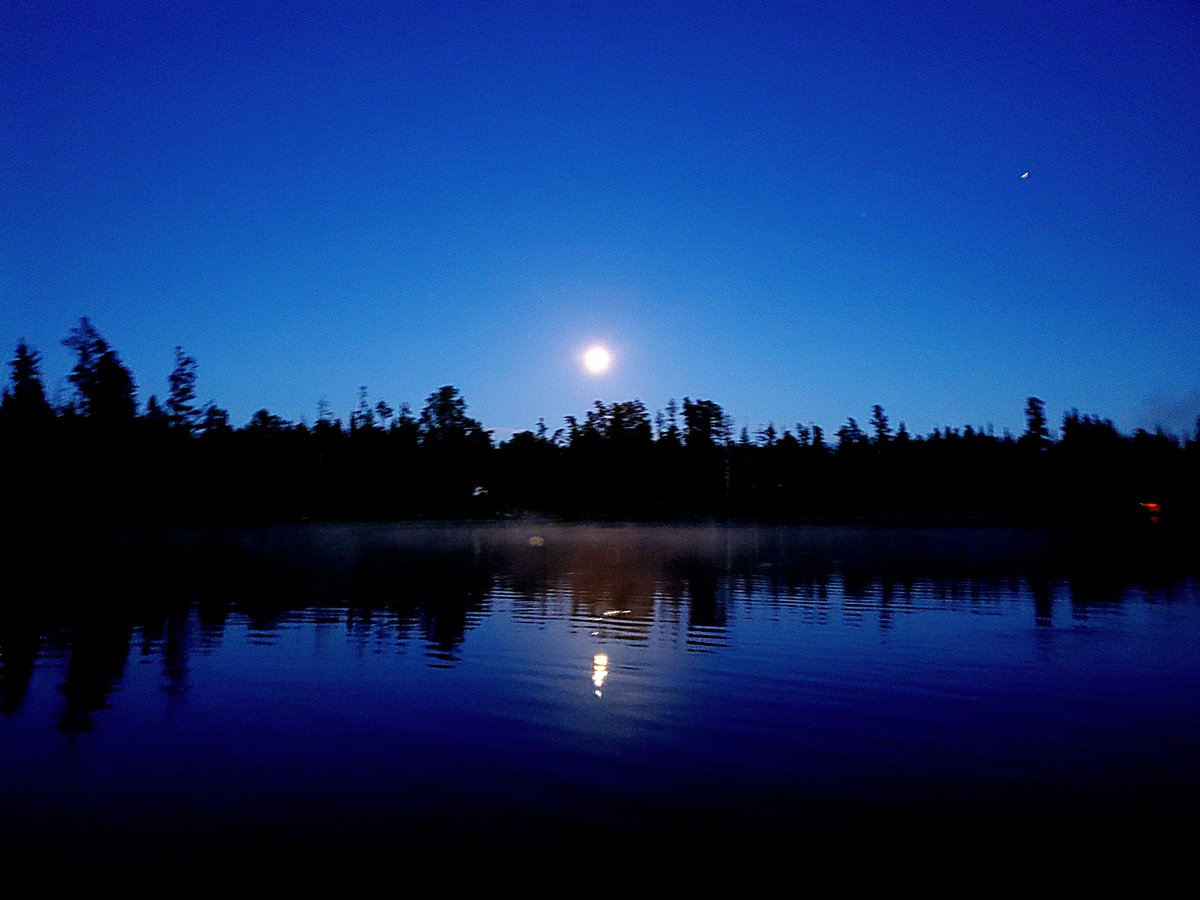 TrueNorthTrail's tweet photo. Turns out we stumbled upon campsite paradise @HalfwayLakePP.
Such a beautiful experience and break away from everything. 
#getoutside #paddle #camping #naturelovers #escape #recharged 🌱 https://t.co/k9V2CFQEql