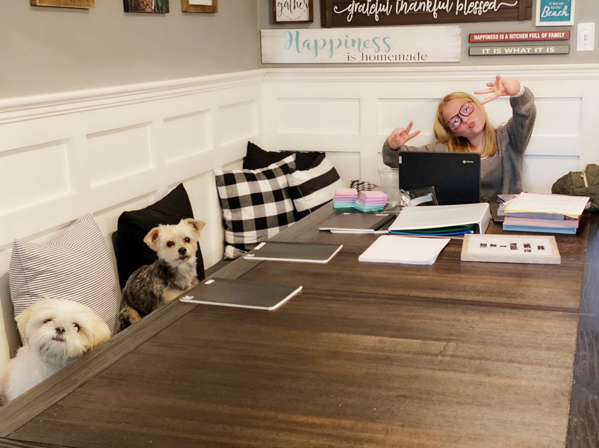 Mel18190548's tweet image. #firstdayofvirtualschool #firstdayof6thgrade #pandemiclearning #2020 #furbabies #fox29goodday