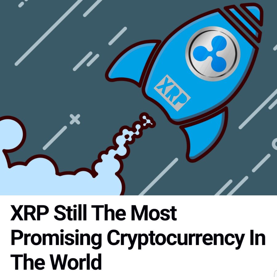 MackAttackXRP's tweet photo. Sorry, but I have already seen over 5000 promising altcoins that promise mountains of gold and have beautiful ideas. But I stick with XRP to be the big winner of the near future. https://t.co/UOrXc5zuEB