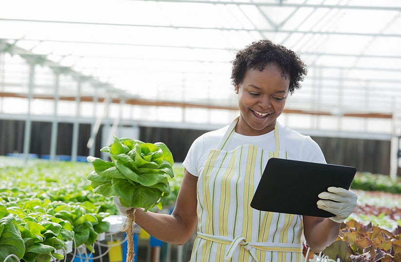 5 petites erreurs à éviter dans l’agriculture

Peu importe depuis combien de temps vous êtes dans le monde agricole, la bonne gestion est primordiale. Vous devez veiller à ce que votre exploitation fonctionne le plus efficacement possible. <a href="/les2AA/">LE FERMIER PAUL 🇨🇲</a> <a href="/FAO/">Food and Agriculture Organization</a> 

👉bit.ly/32QJ0mg