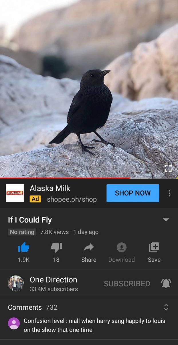 icarusbrights's tweet image. was this supposed to be part of #10YearsOf1D @onedirection? lmao