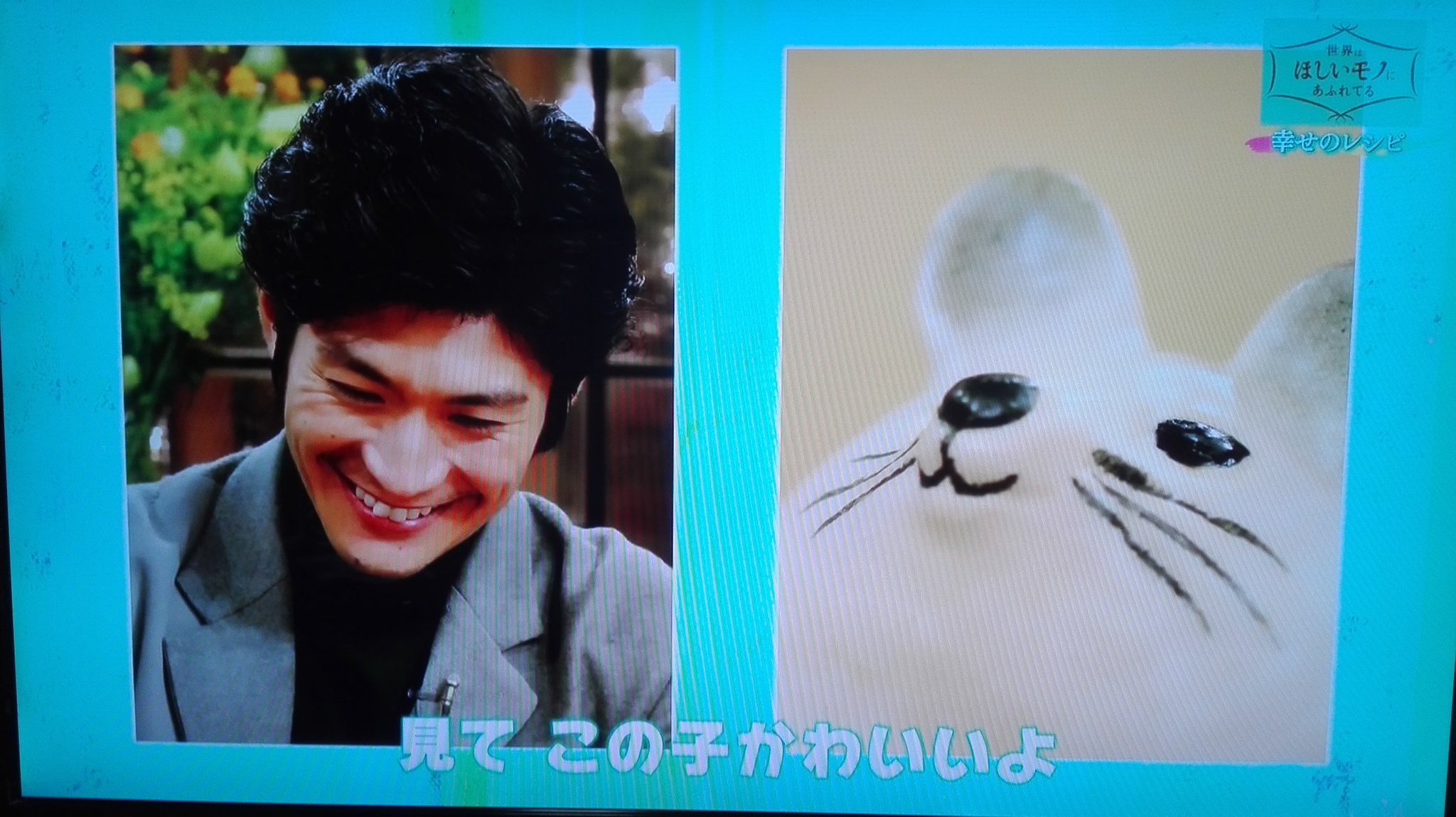 ねずみ 3本目 Amazon.co.jp: セフティー3(Safety-3) ねずみ捕獲器 大 295×160