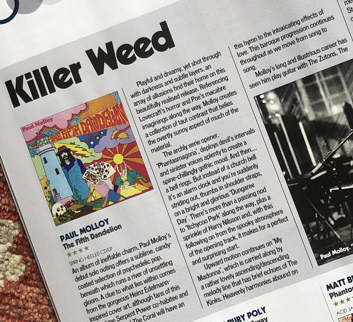 Paul Molloy tweet media