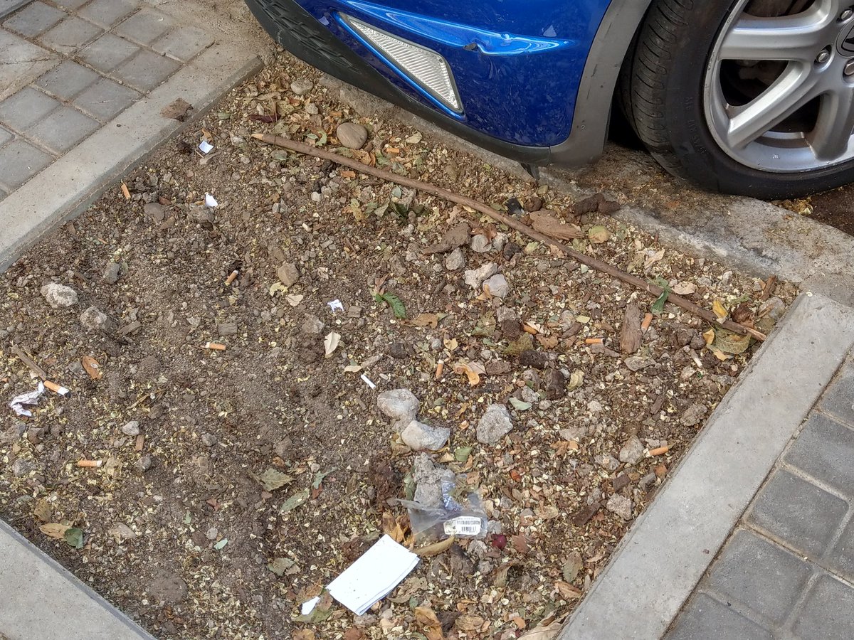 Helen__Soul's tweet photo. @Lineamadrid vergonzoso el estado de los alcorques en calle Viriato, todo lleno de basura y cacas de perro. Por no hablar de la plaga de avispas y del escarabajo del olmo. Hagan algo por favor! https://t.co/H167lk4CJs