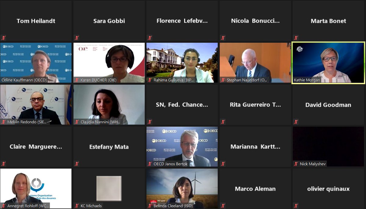 ASTMIntl's tweet photo. 138 participants joined virtual meeting of @OECD's IOs Partnership for International Rulemaking where @ASTMpres Kathie Morgan announced that OECD is developing a case-study profile of ASTM that will take closer look at ASTM’s position in the global standards development community https://t.co/qRxEe26C0x
