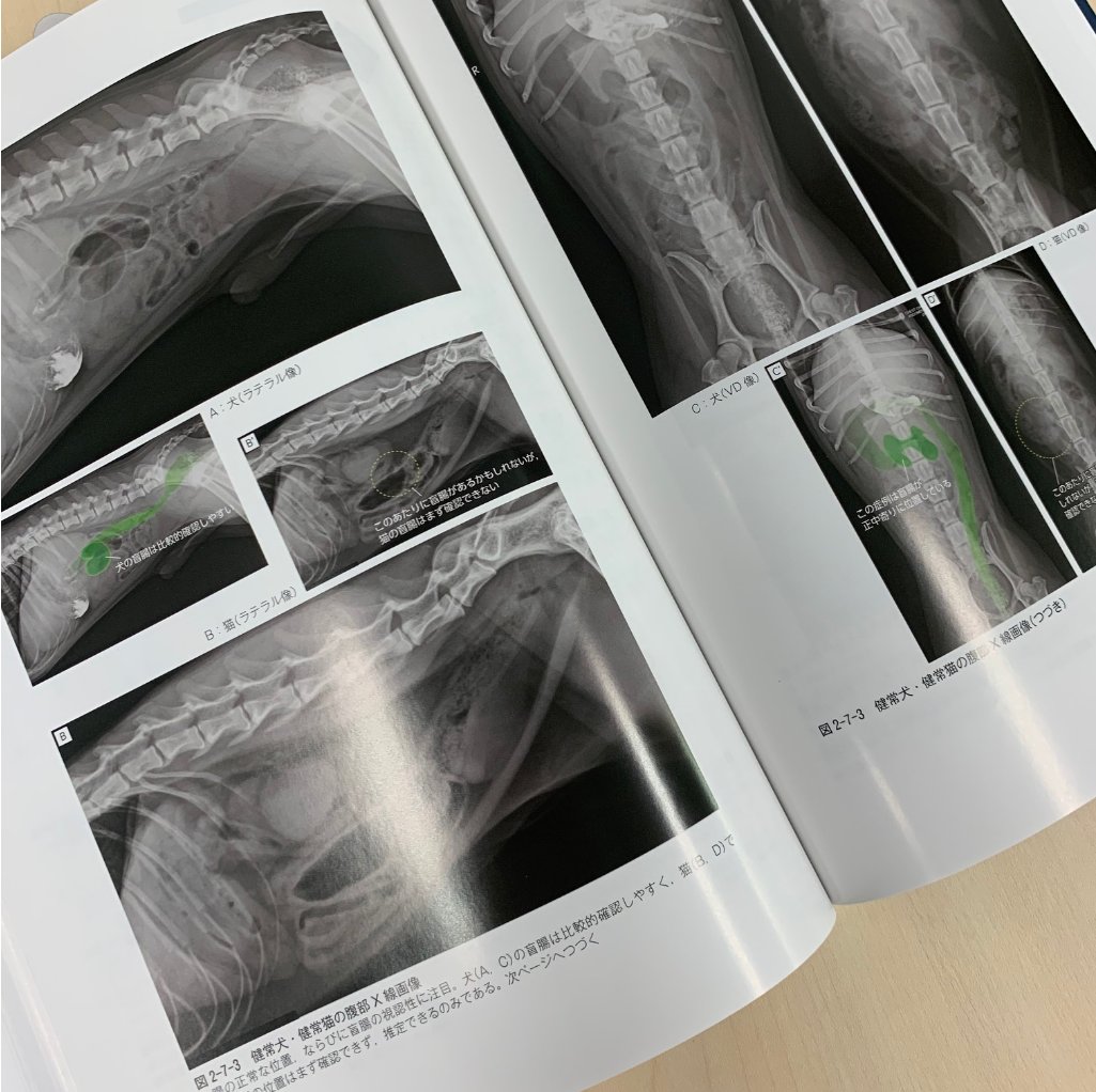 人気メーカー・ブランド 犬と猫のベーシック画像診断学 3冊 cinemusic.net