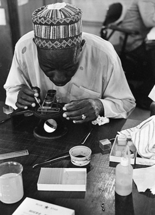 WHO African Region tweet media