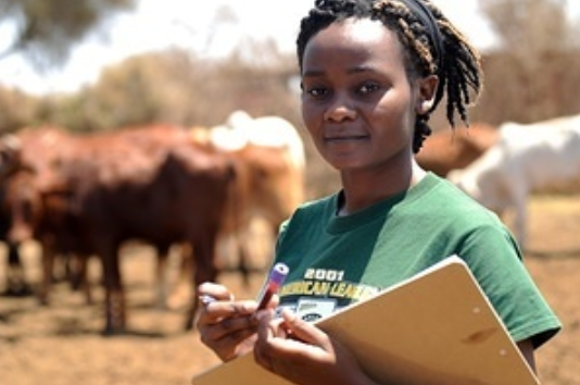 WHO African Region tweet media