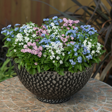 WonderPlants tweet picture
